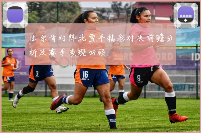 法尔肯对阵北雪平精彩对决前瞻分析及赛季表现回顾