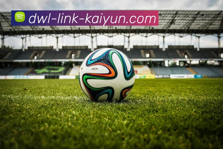 开云体育APP 高清赛事图